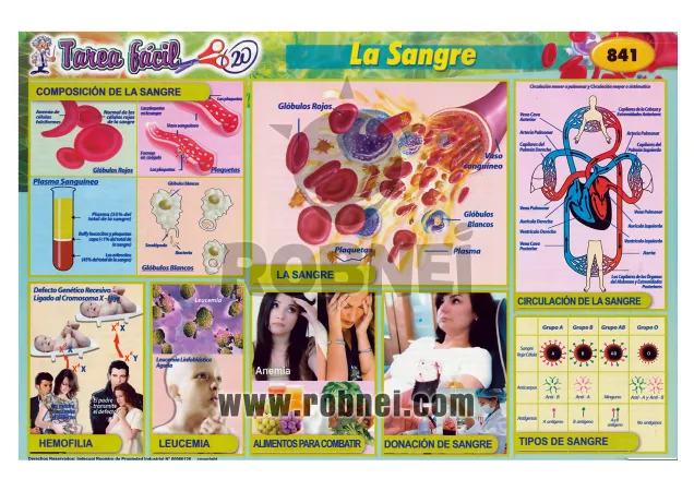 Lamina de La Sangre 841