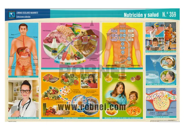 Lamina de Nutricion Y Salud 359