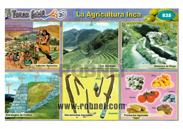 Lamina de LA AGRICULTURA INCA