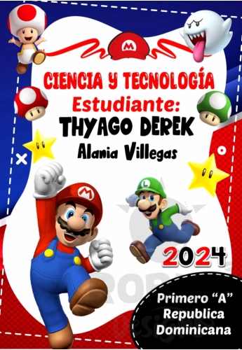 Mario-Bros-Caratula-04