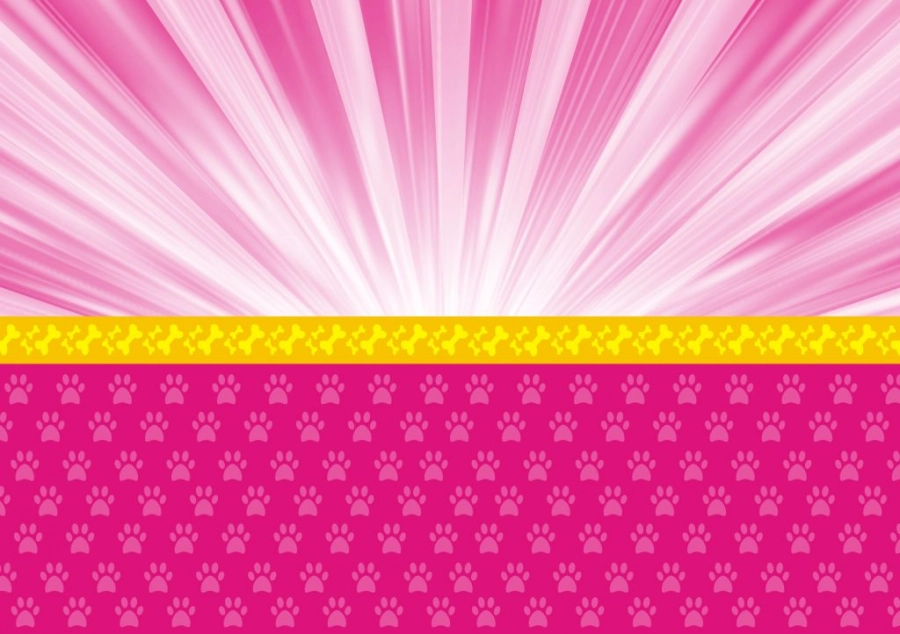 Fondo-fucsia-con-amarillo-paw-patrol-girl