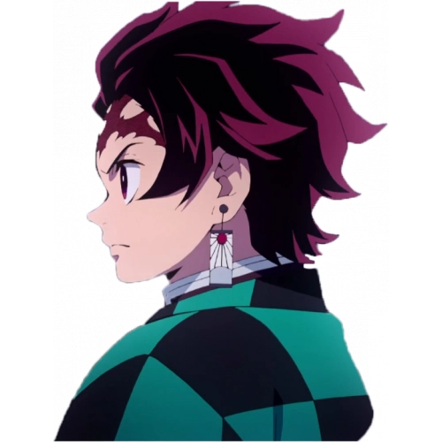 Demon-Slayer-Tanjiro-11