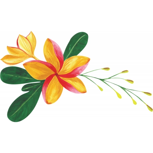 Encanto Clipart flor