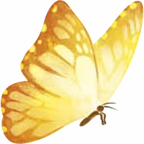 Encanto-Clipart-mariposa