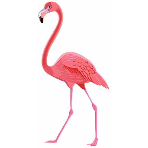 Flamingo01