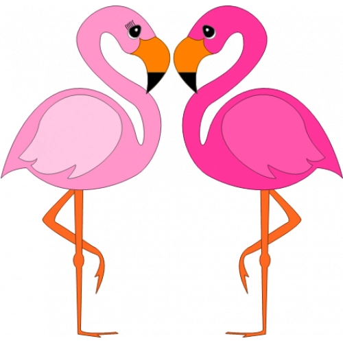 Flamingo02