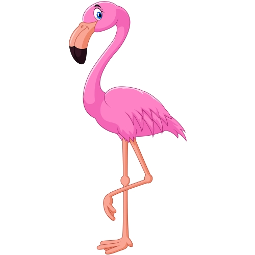 Flamingo04