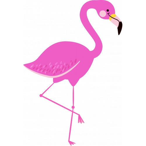 Flamingo06