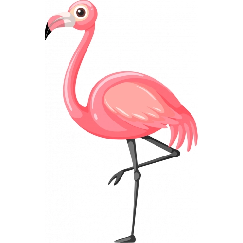 Flamingo10-A