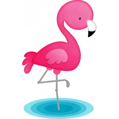 Flamingo13