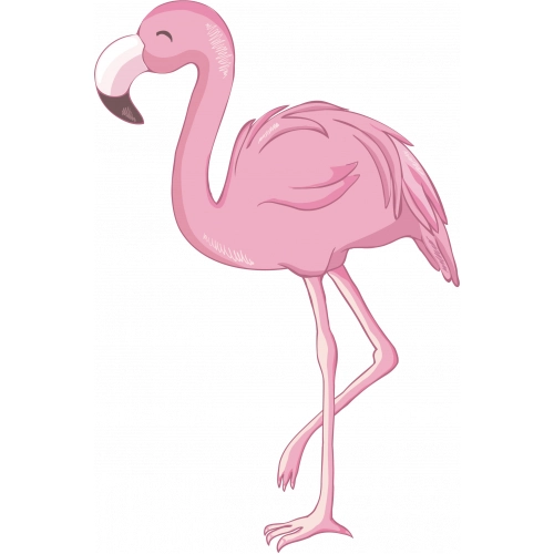 Flamingo14 A