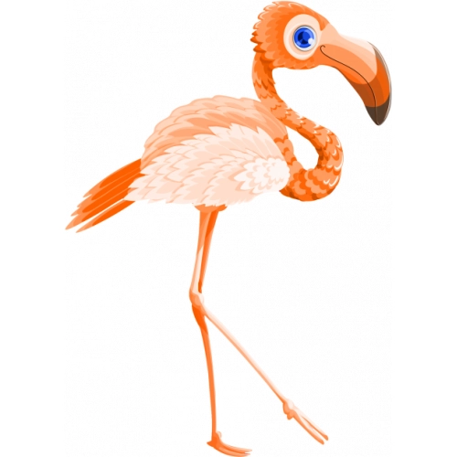 Flamingo14