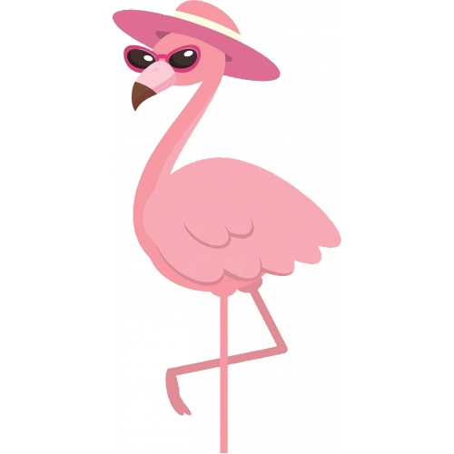 Flamingo2