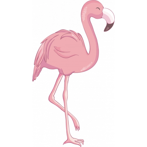 Flamingo9