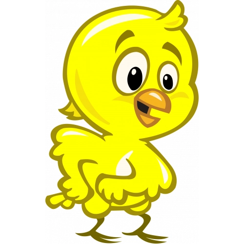 pollito amarillo feliz