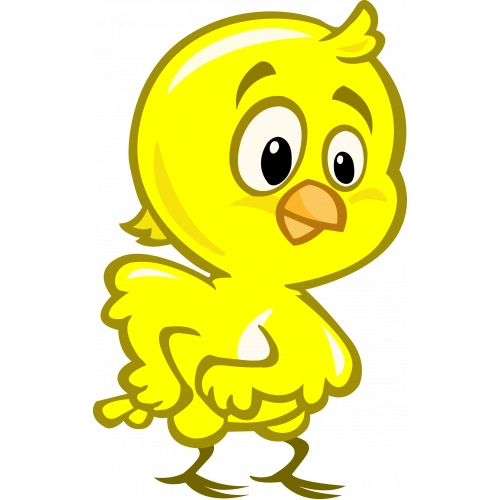 pollito-amarillo