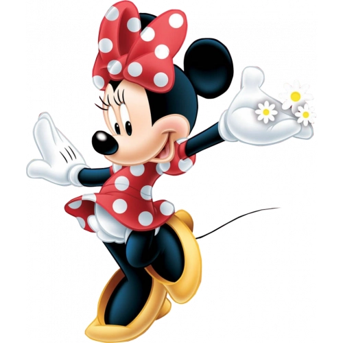 minnie mouse sin fondo1