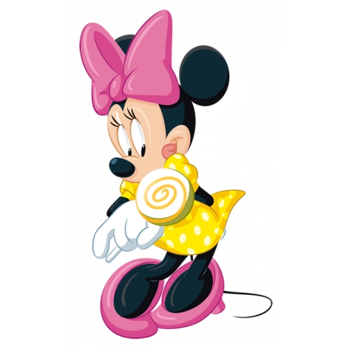 minnie mouse a14