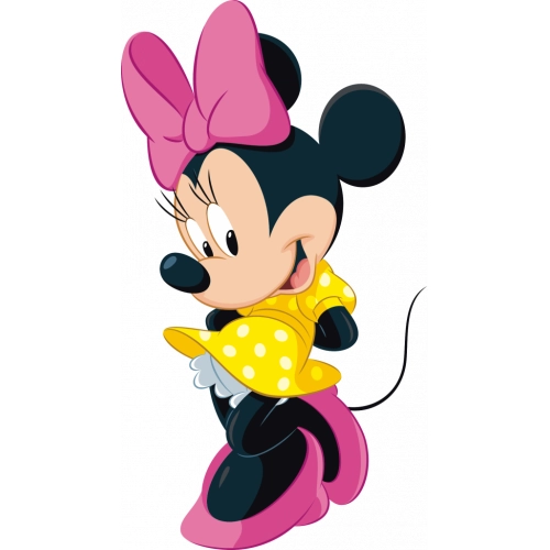 minnie mouse a17