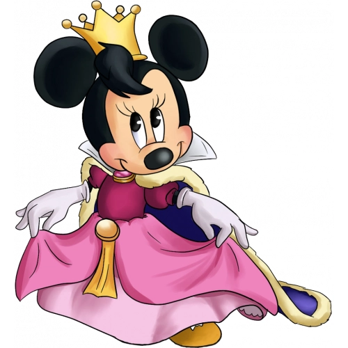 minnie princesa robnei