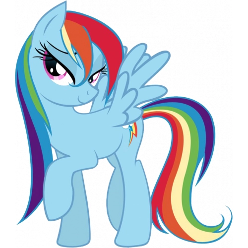 Rainbow Dash My Little Pony 10