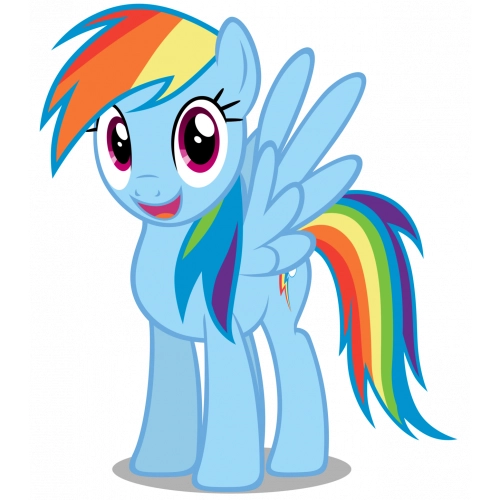 Rainbow Dash My Little Pony 5