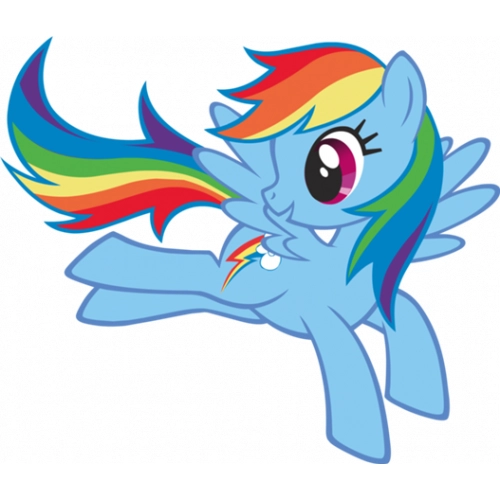 Rainbow Dash My Little Pony 6