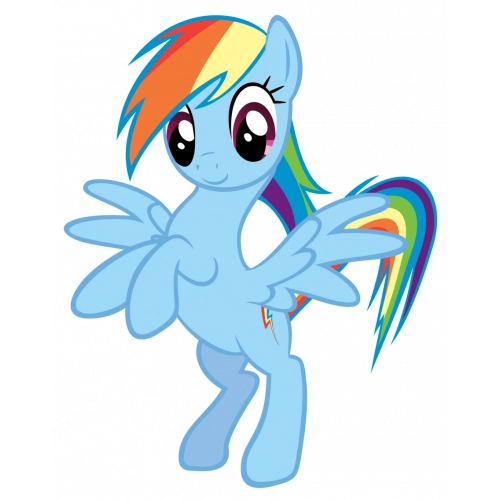 Rainbow Dash My Little Pony 8