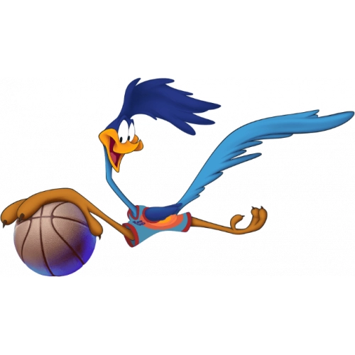 Space Jam2 Road Runner