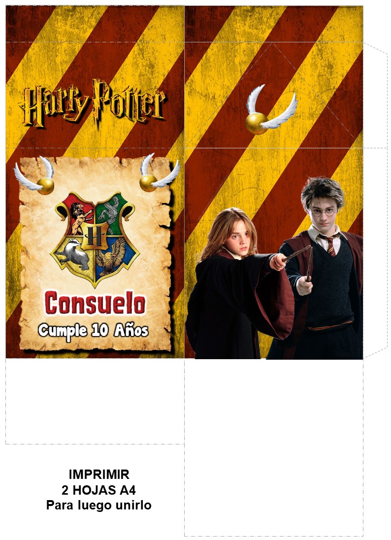 Cajita-Milk-Harry-Potter-Girl