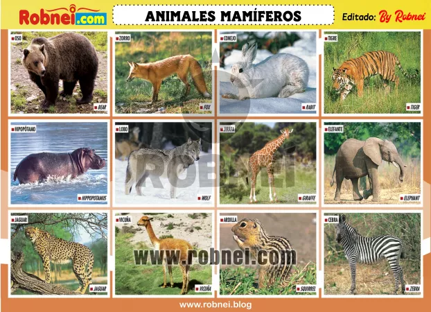 Lamina de ANIMALES MAMIFEROS