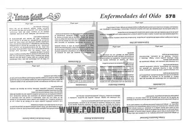 Lamina de ENFERMEDADES DEL OIDO con texto