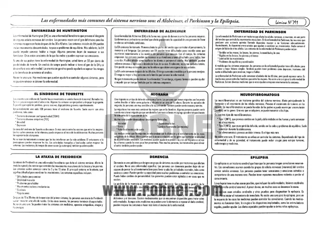 Lamina de ENFERMEDADES DEL SISTEMA NERVIOSO con texto