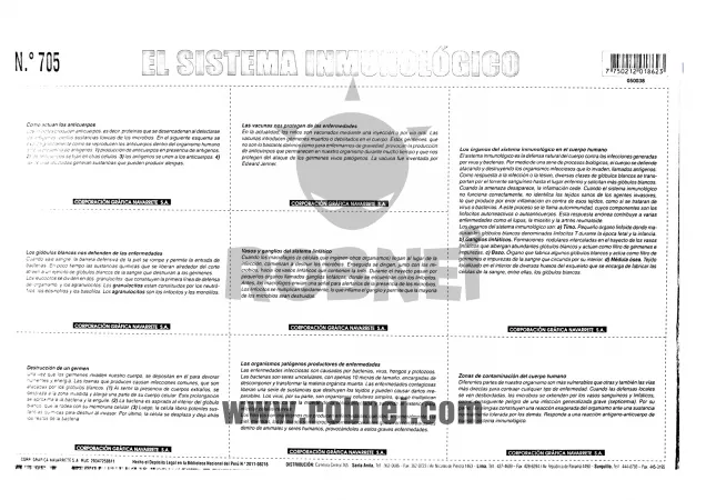 Lamina de SISTEMA INMUNOLOGICO con texto