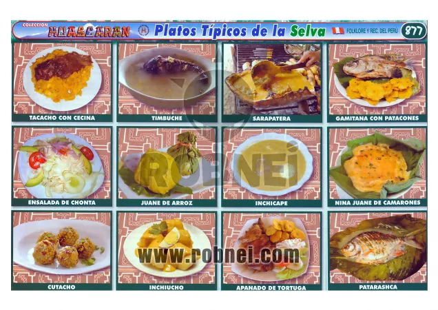 PLATOS-TIPICOS-DE-LA-SELVA