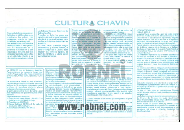 Lamina de CULTURA CHAVIN con texto