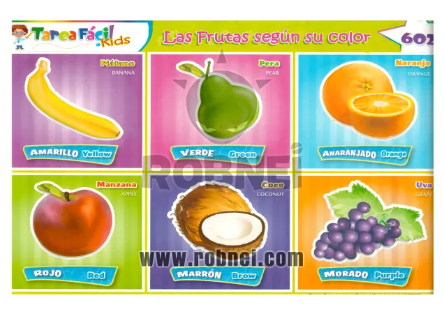 Lamina de Frutas Segun Color 602