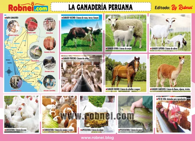 Lamina de LA GANADERIA PERUANA