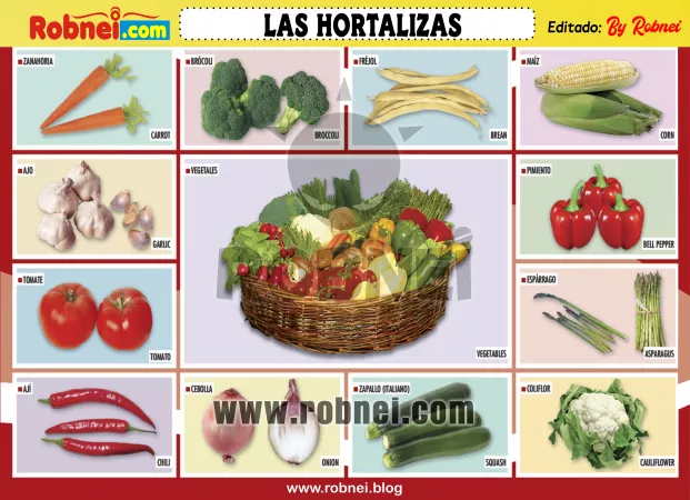 Lamina de LAS HORTALIZAS