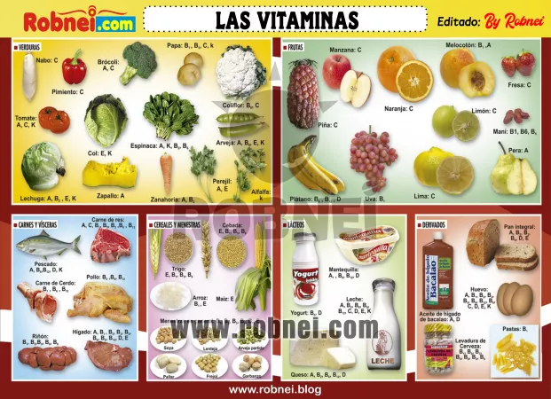 Lamina de LAS VITAMINAS