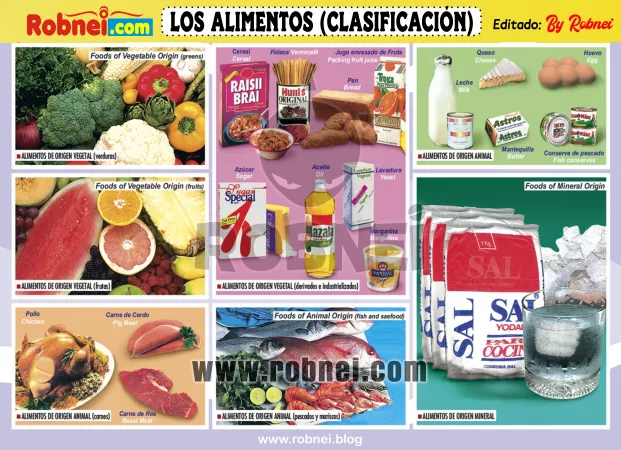 Lamina de LOS ALIMENTOS CLASIFICACION