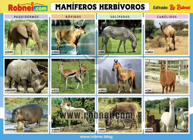 Lamina de MAMIFEROS HERVIBOROS