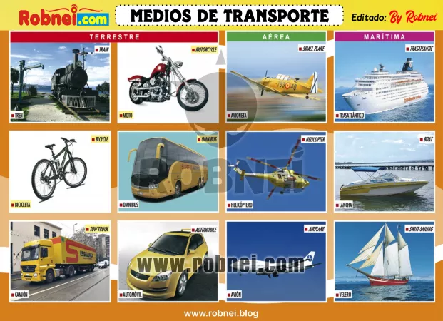 Lamina de MEDIOS DE TRANSPORTE