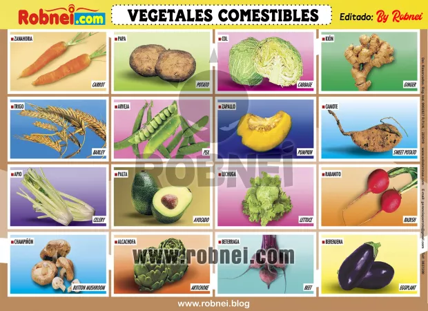 VEGETALES-COMESTIBLES