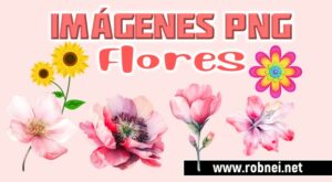 Imagenes de Flores PNG