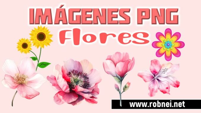 Imagenes de Flores PNG