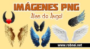 Alas de Angel PNG Transparente