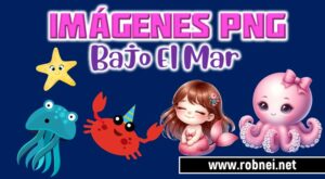 Imagenes de Animales Bajo el Mar PNG